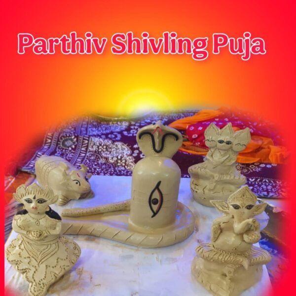 Book Parthiv Shivling Puja and Rudra Abhishek Puja