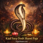 Kaal Sarp Dosh Shanti Puja ( कालसर्प दोष पूजा )