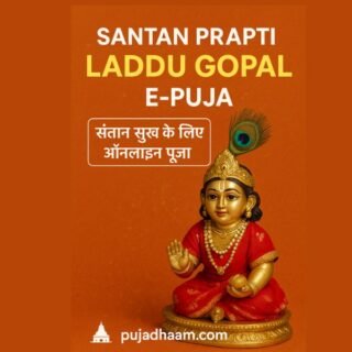 Santan Prapti Laddu Gopal – Online E-Puja