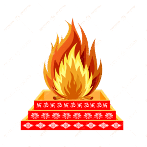 online havan yagya puja service for peace prosperity and removing negative energy